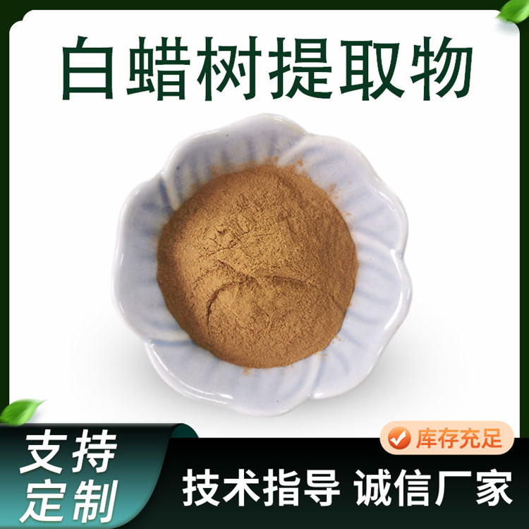 白蜡树提取物 10:1水溶浓缩粉 植物萃取 喷雾干燥原料 多规格