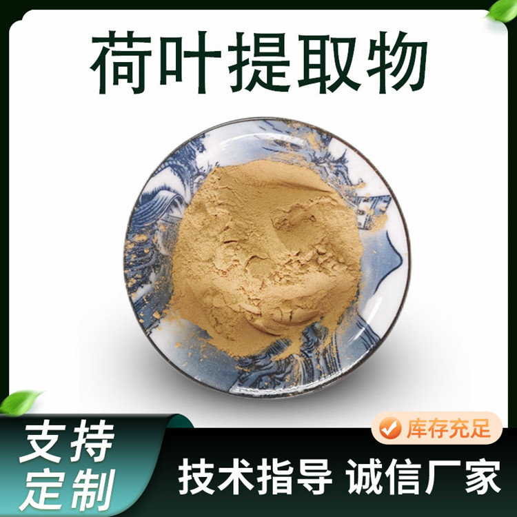 荷叶提取物 食品级水溶莲叶粉 浸膏喷干粉黄酮 SC原料厂家供应 可定制