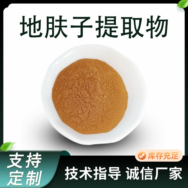地肤子提取物 地肤子粉 比例水溶粉 10:1现货 化妆品原料