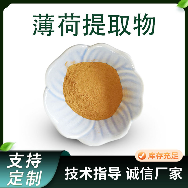 薄荷提取物 10:1水溶性薄荷浓缩粉 食品级原料 1千克起