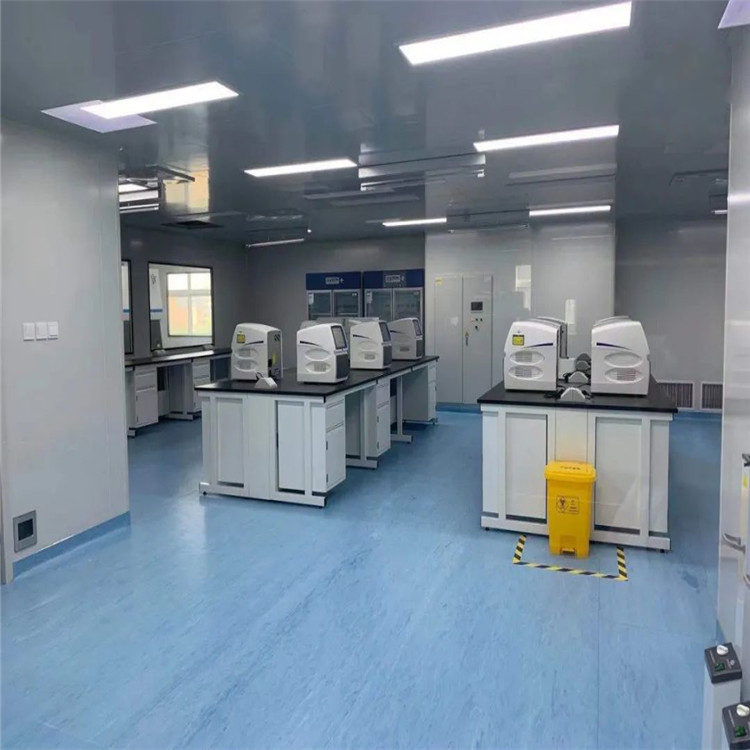 LUMI 无尘洁净车间 基因实验室装修 十万级 工程设计甲级