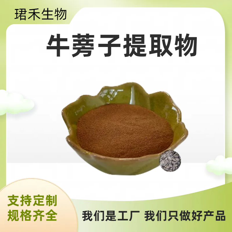 牛蒡子提取物 含牛蒡子多糖/皂甙 浓缩浸膏粉 1kg起订