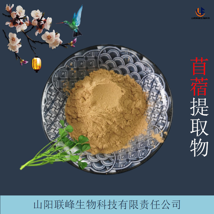 苜蓿提取物 浓缩萃取苜蓿粉 富含皂甙 黄酮 多糖 蔬菜汁粉