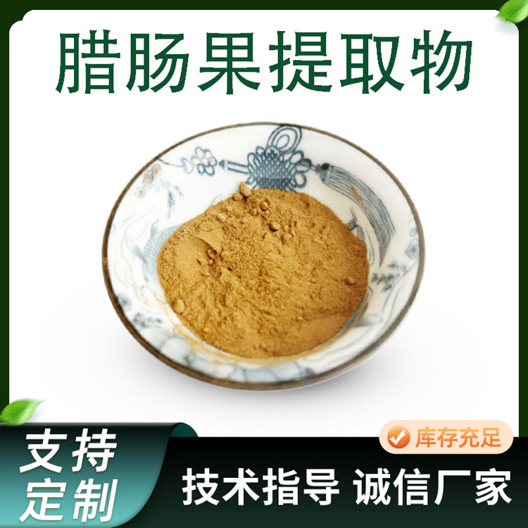 腊肠果提取物 水溶便秘果浓缩粉 喷雾干燥原料 多规格 可定制