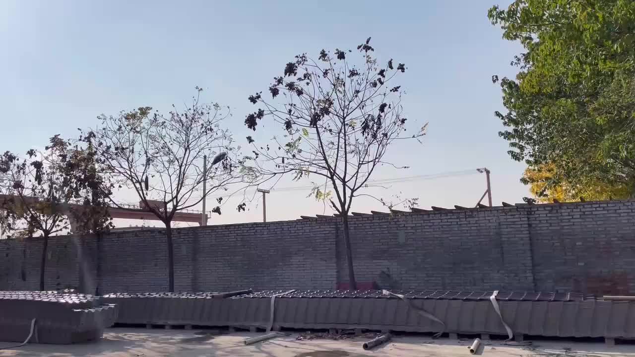 视频