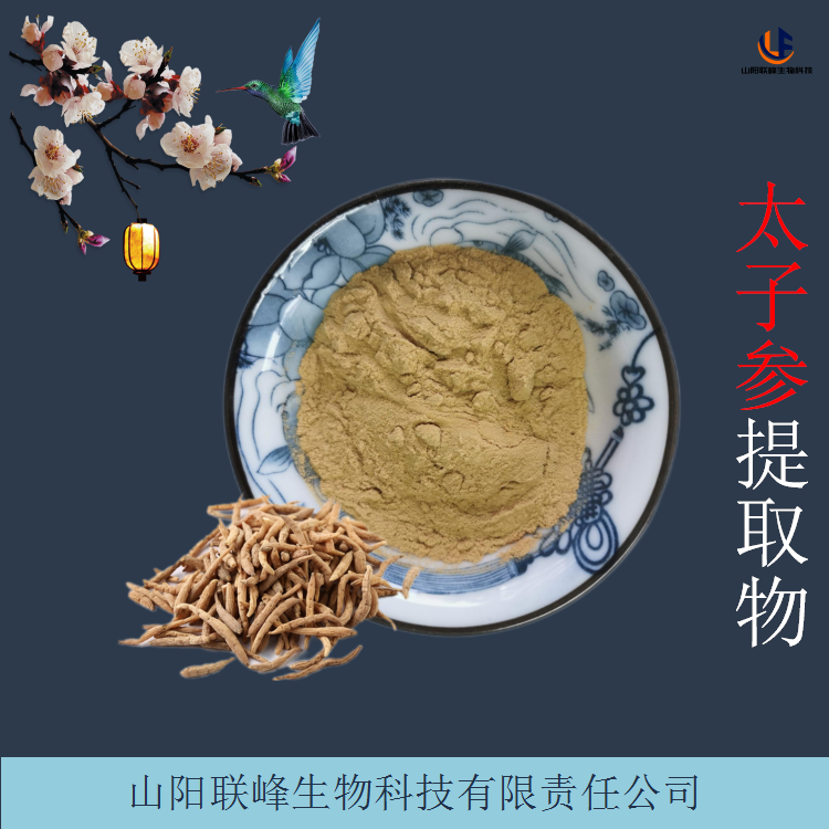 太子参提取物 10:1比例萃取太子参粉 孩儿参浸膏 可定制