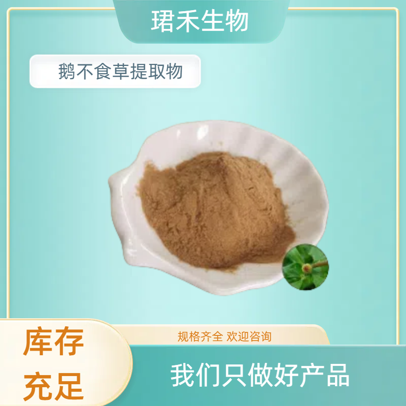鹅不食草提取物 水溶粉 喷雾干燥 植物提取 浸膏 可定制规格 可开