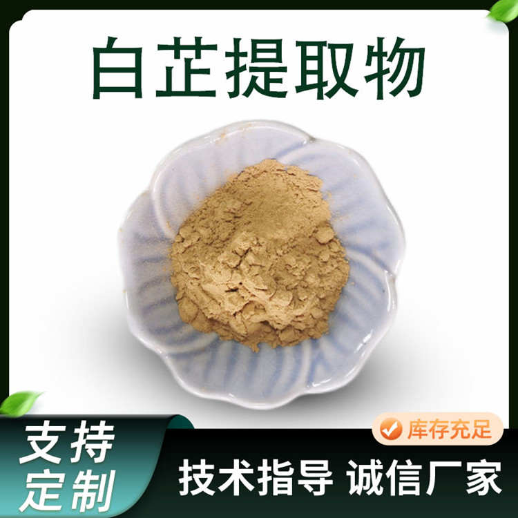 白芷提取物 10:1浓缩粉 水溶 芳香粉 多种规格 接受定制 化妆品原料 厂家