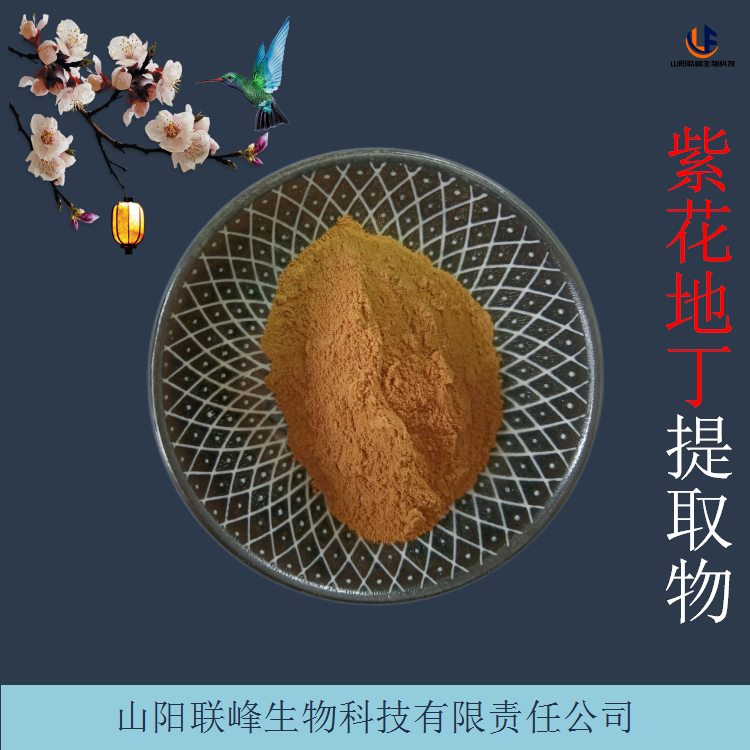 紫花地丁提取物 野堇菜浓缩水溶粉 棕黄色粉末