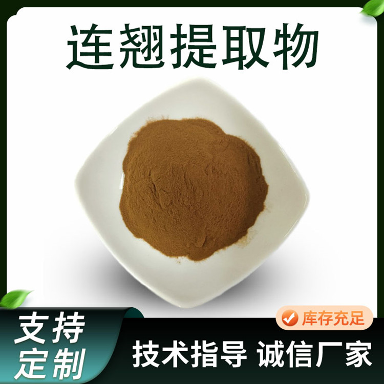 连翘提取物 浓缩连翘粉 植物提取物原料 多规格 水溶粉