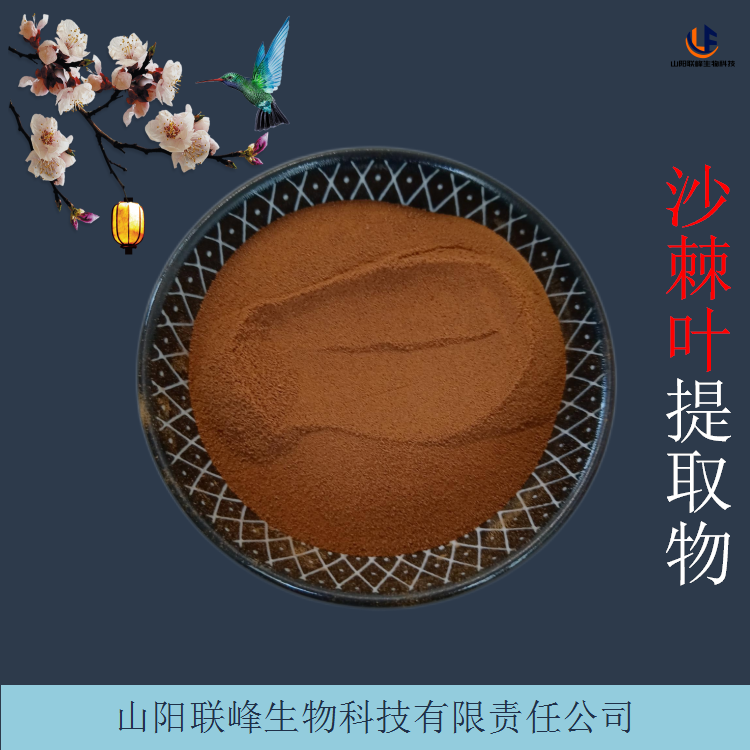 植物萃取含量定制 沙棘叶提取物 喷雾干燥沙棘叶粉