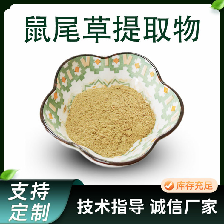 鼠尾草提取物 10:1萃取 紫花丹 水溶粉 饲料原料 加工厂 1kg起订