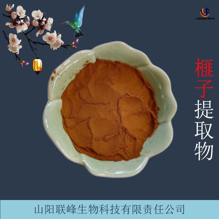 10:1榧子粉 榧子提取物 浸膏 水溶性 可定制生产多规格