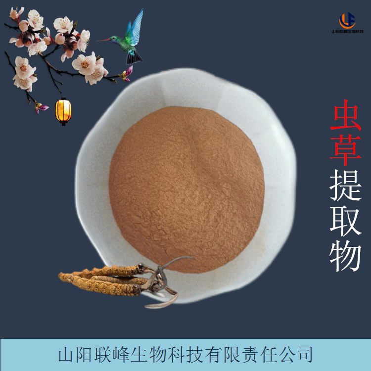 虫草提取物 蛹虫草萃取粉 规格多样 可定制 水溶性好 食品级工厂 1kg起