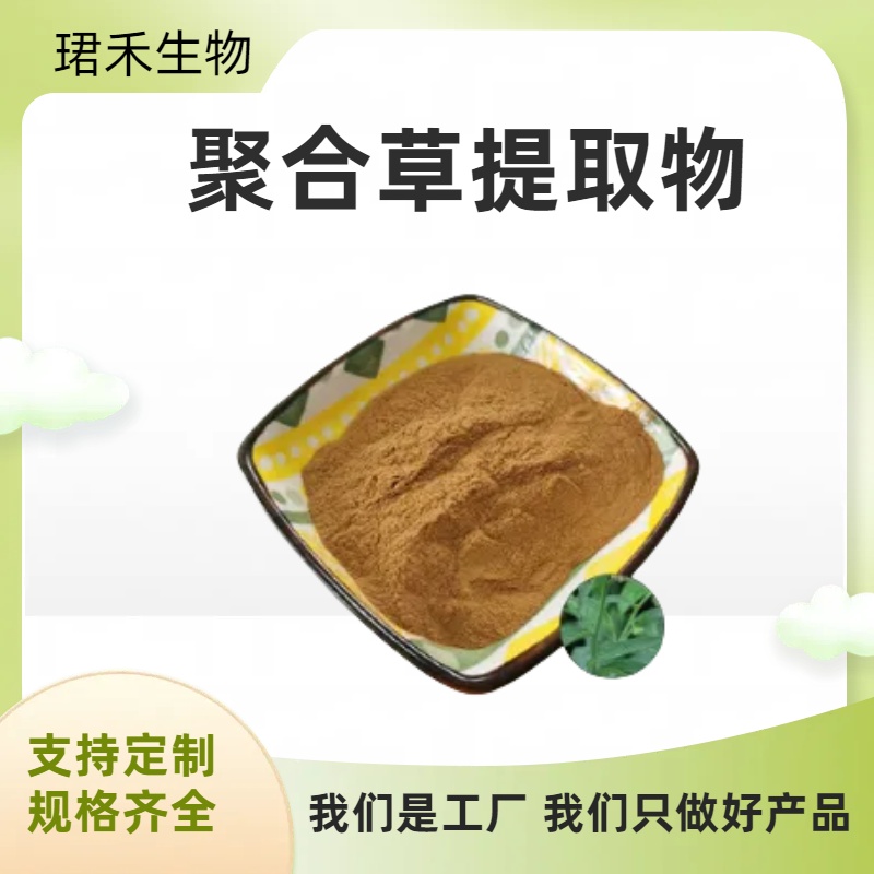 聚合草提取物10:1 肥羊草/友谊草浓缩粉 喷雾干燥工艺 食品级原料