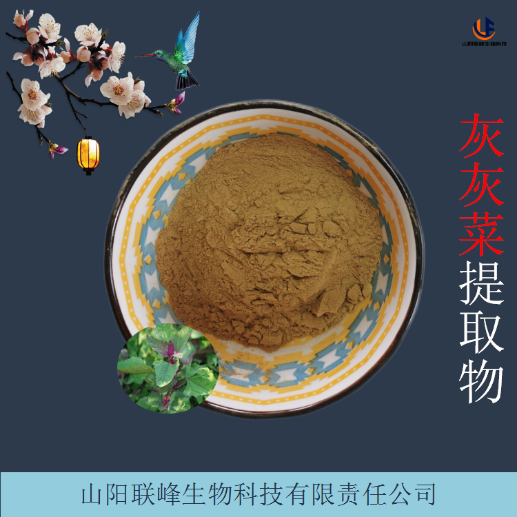 灰灰菜提取物 高倍浓缩野灰菜浸膏喷干粉 散装原料粉 1千克起订