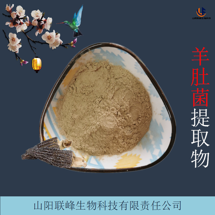 羊肚菌提取物 食品级羊肚蘑浓缩浸膏粉 喷雾干燥技术