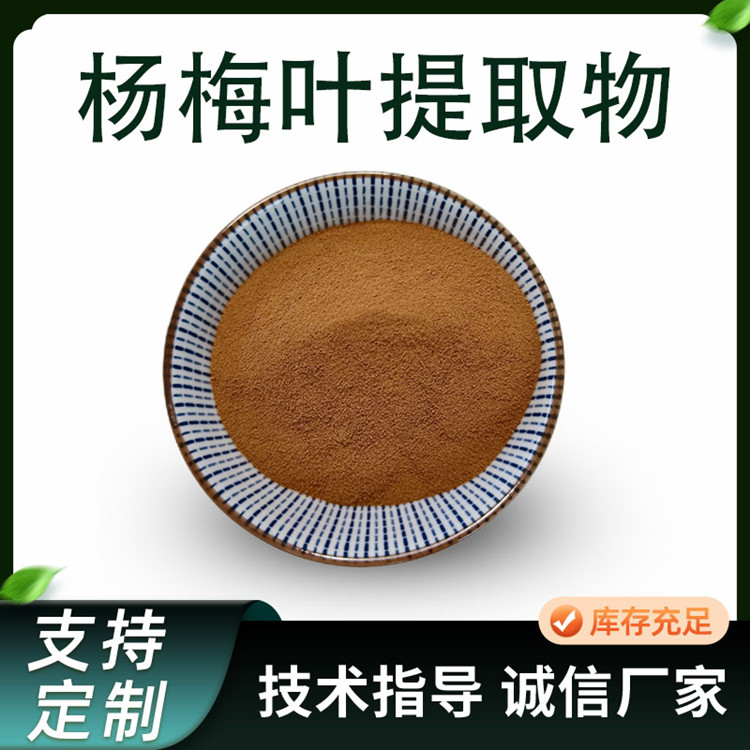 杨梅叶提取物 10:1水溶浓缩粉 萃取原料 植物提取 1公斤起