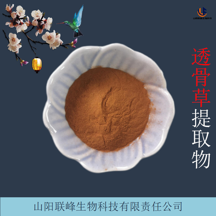 透骨草提取物 10:1透骨草浓缩浸膏粉 棕黄色粉末