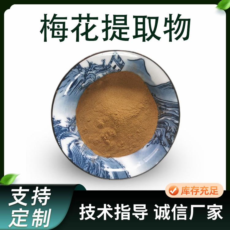 梅花提取物 10:1水溶梅花粉 食品原料 速溶浓缩粉 喷雾干燥
