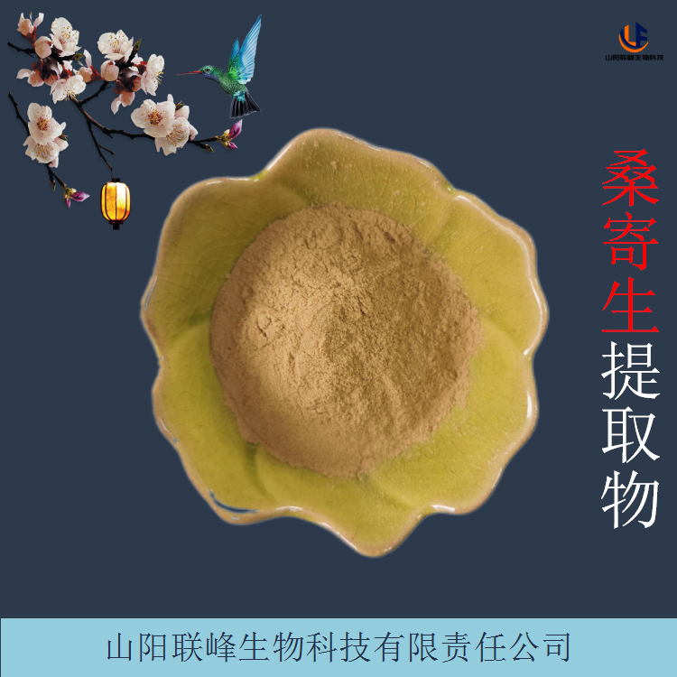 桑寄生提取物 含桑寄生皂甙 植物萃取粉 支持含量定制