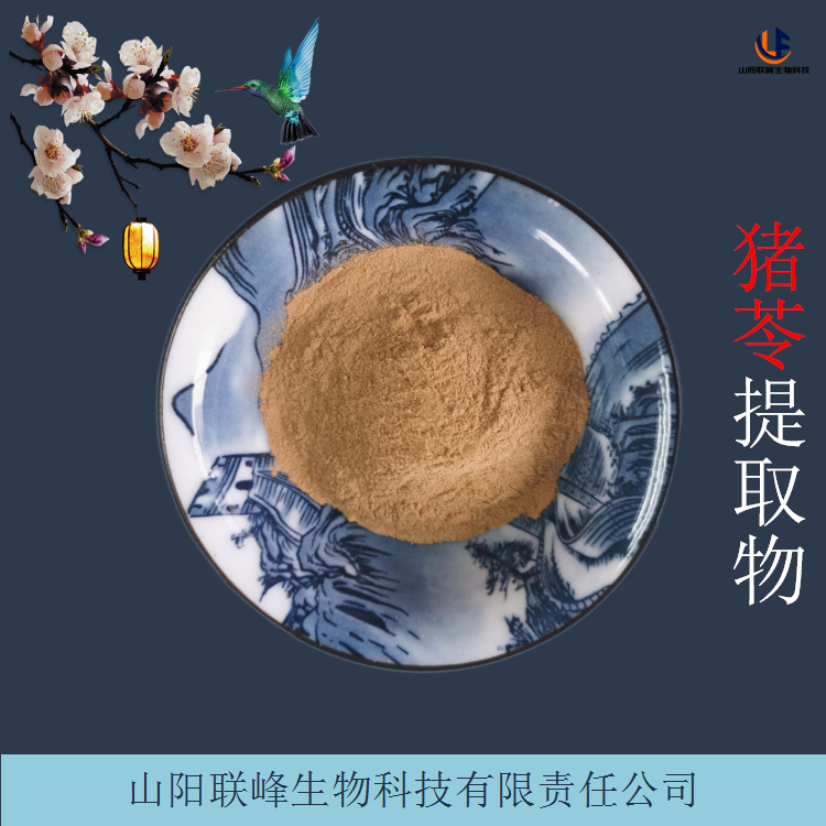 猪苓提取物 比例豕苓粉 植物原料粉 过100目筛细腻粉
