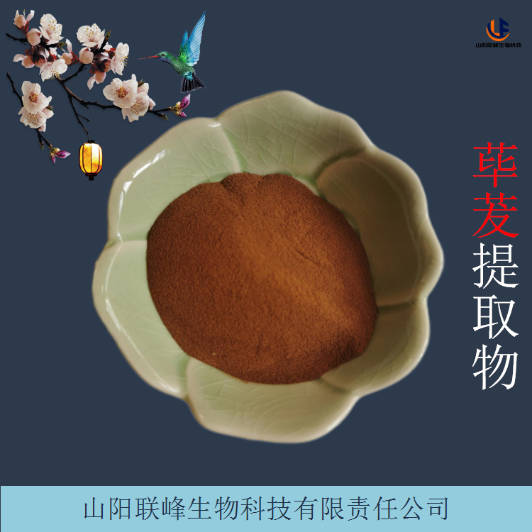 荜茇提取物 水溶荜茇粉 浸膏 浓缩粉 植物加工原料 现货