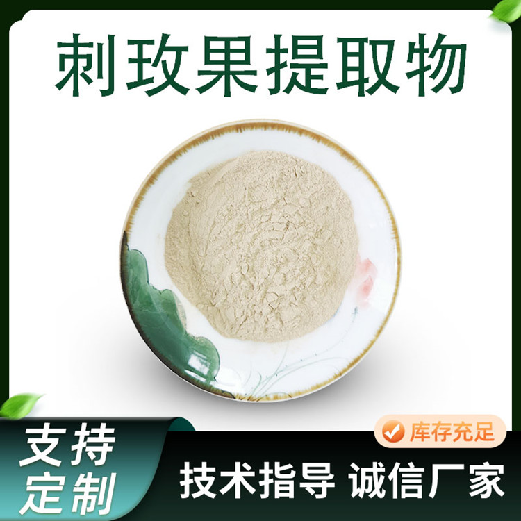 刺玫果提取物 10:1比例刺玫果浓缩粉 植物萃取原料 80目