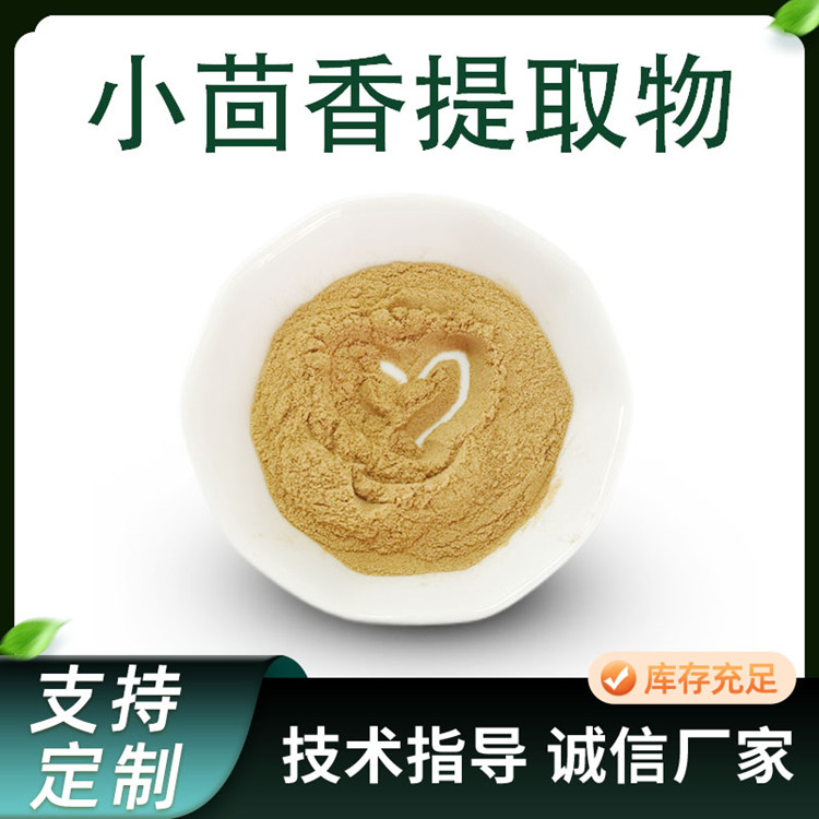 小茴香提取物 10:1比例浓缩茴香子粉 食品级原料 可定做