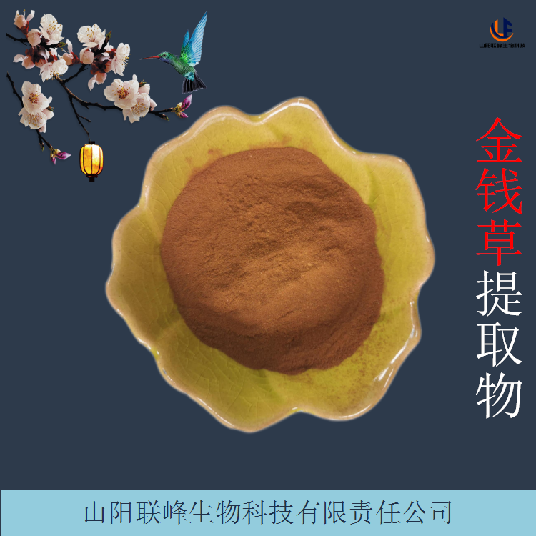 金钱草提取物 喷雾干燥技术比例浓缩连钱草粉 多规格