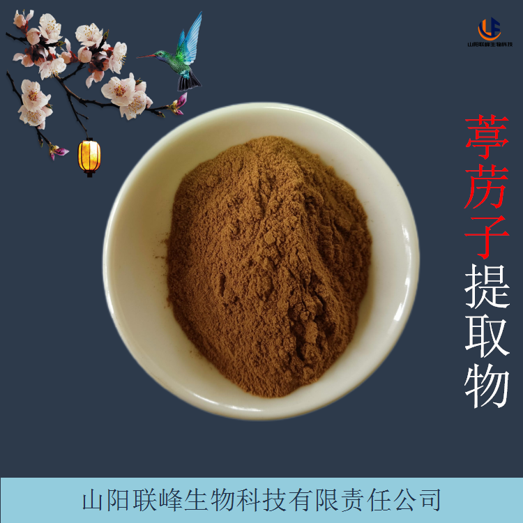 葶苈子提取物 10:1植物原料粉 独行菜浓缩粉 现货