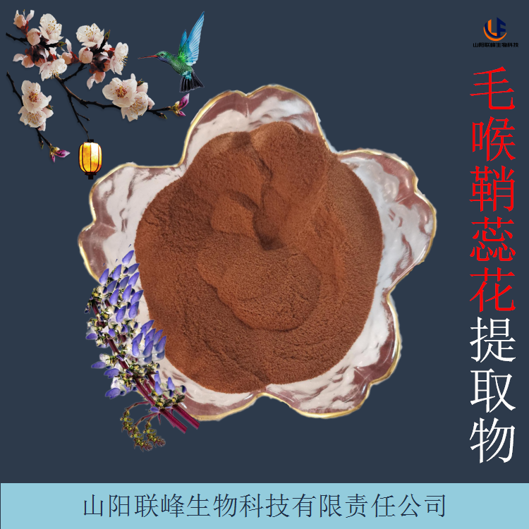 毛喉鞘蕊花提取物 含弗斯可林 浓缩浸膏粉 水溶性原料粉