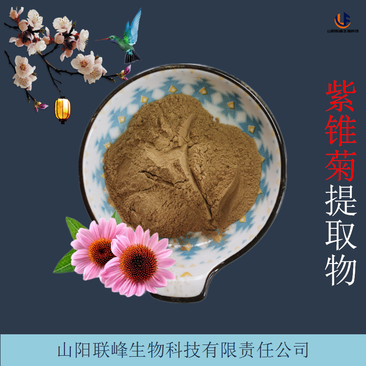 松果菊提取物 植物萃取紫锥菊粉 浓缩喷雾干燥粉