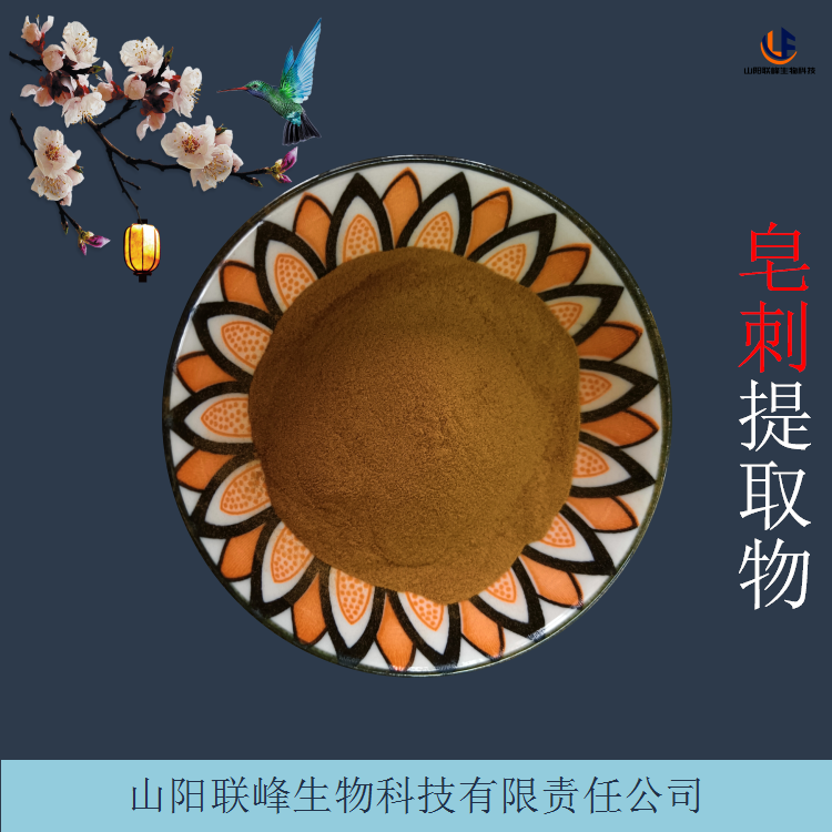 皂角刺提取物 10:1皂刺粉 皂荚刺浓缩粉 可定制
