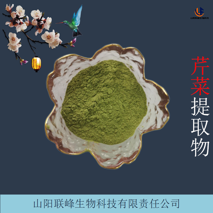 芹菜提取物 10:1浓缩芹菜粉 水溶性好 蔬菜汁粉 调味 食品原料 厂家