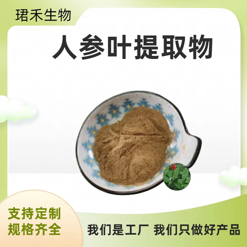 人参叶（人工种植）提取物 植物萃取 比例浓缩粉 可水溶 珺禾