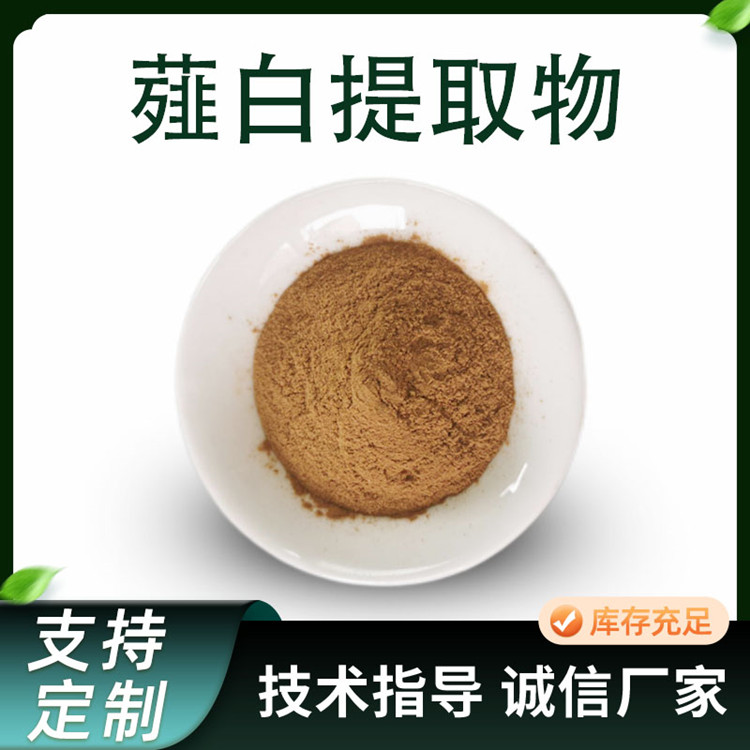 薤白提取物 10:1薤白浓缩粉 食品级小蒜粉 植物提取原料