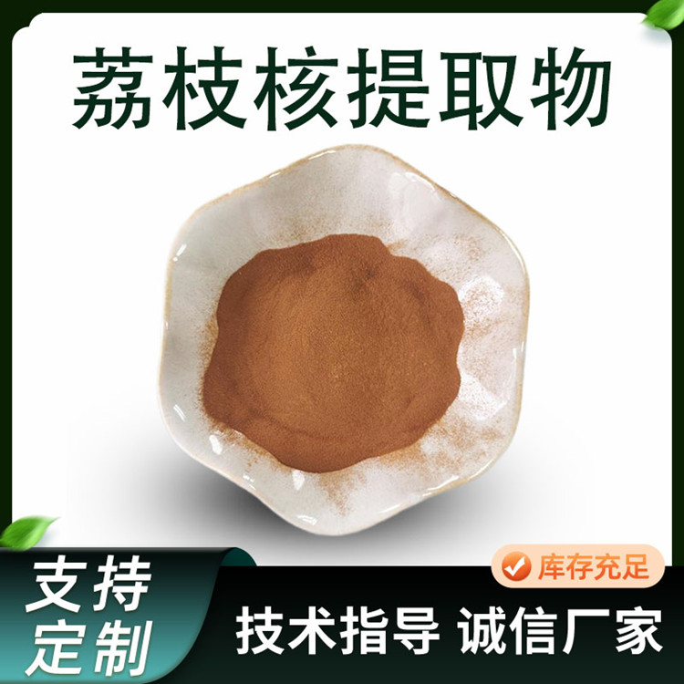 荔枝核提取物 10:1荔枝核浓缩浸膏粉 水提喷雾干燥 多规格