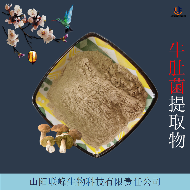 牛肚菌提取物 10:1 20:1牛肝菌浓缩粉 适用于原料添加