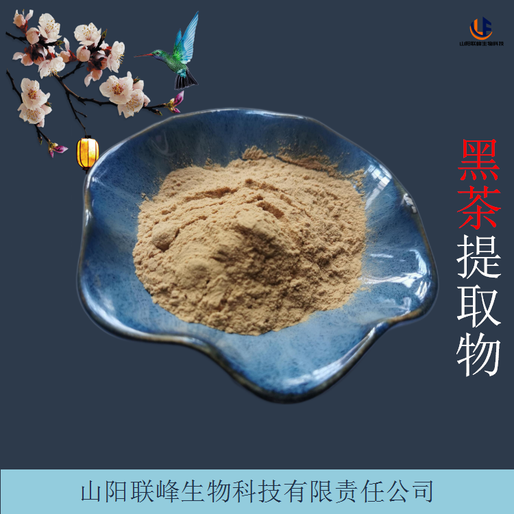 1公斤起订 黑茶提取物 10:1浓缩黑茶粉 水溶性原料粉