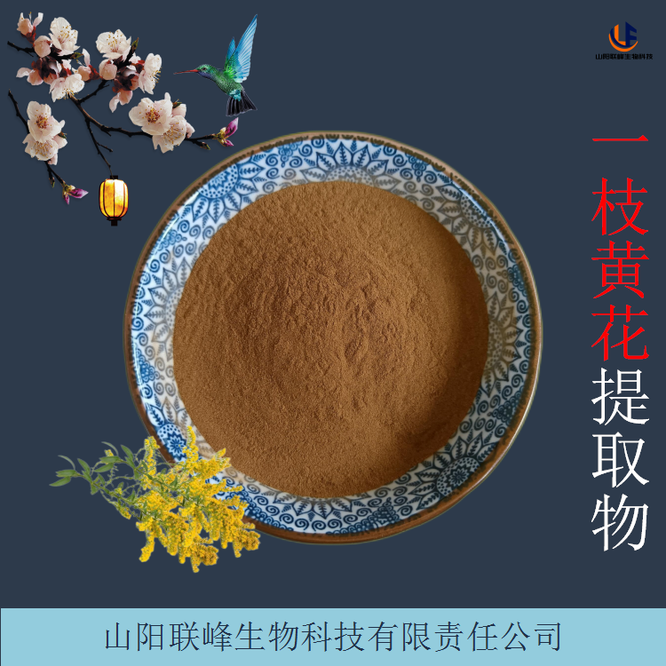 一枝黄花提取物 10：1比例植物原料浓缩粉 水提 规格齐全