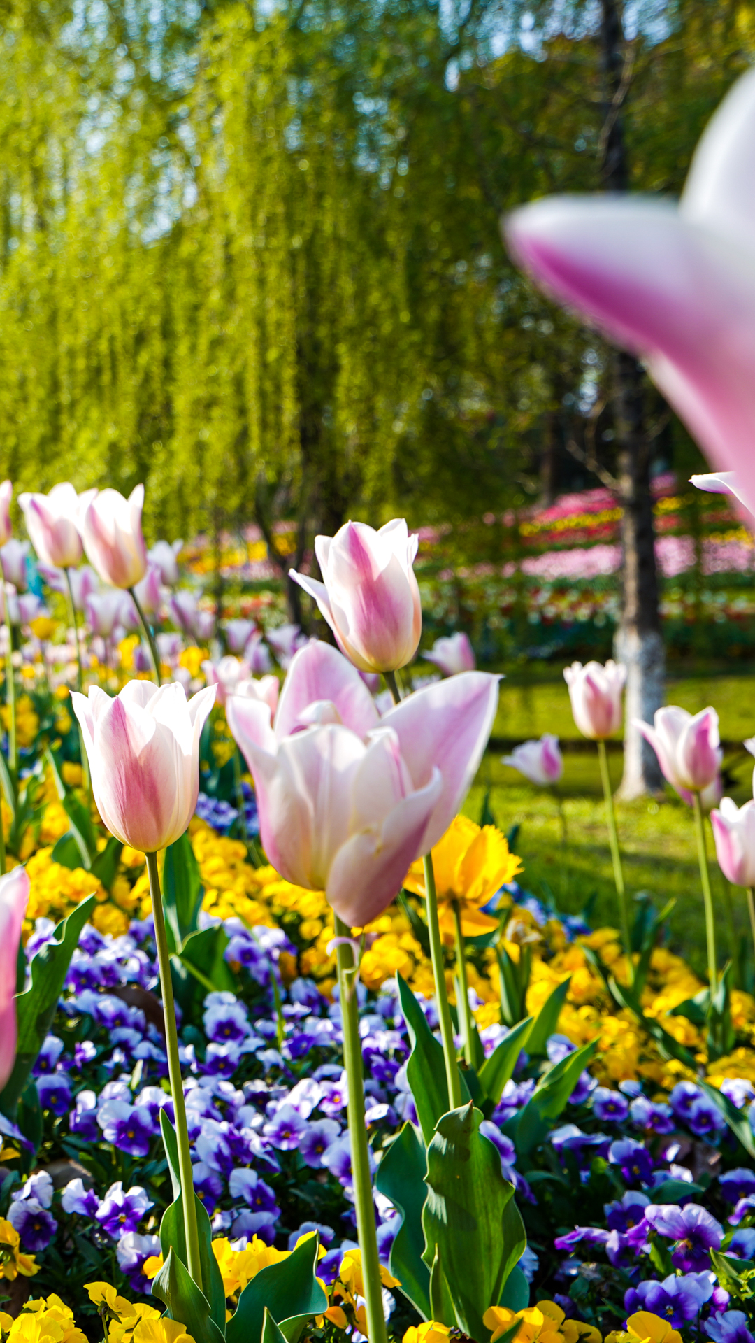 有很多强二线城市率先回暖了