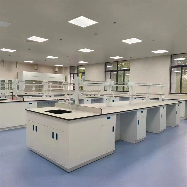 LUMI 全钢实验台简易教学中小学生实验室工作台