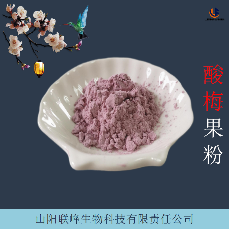 酸梅提取物 食用水溶酸梅果粉 提取物原料 果蔬粉