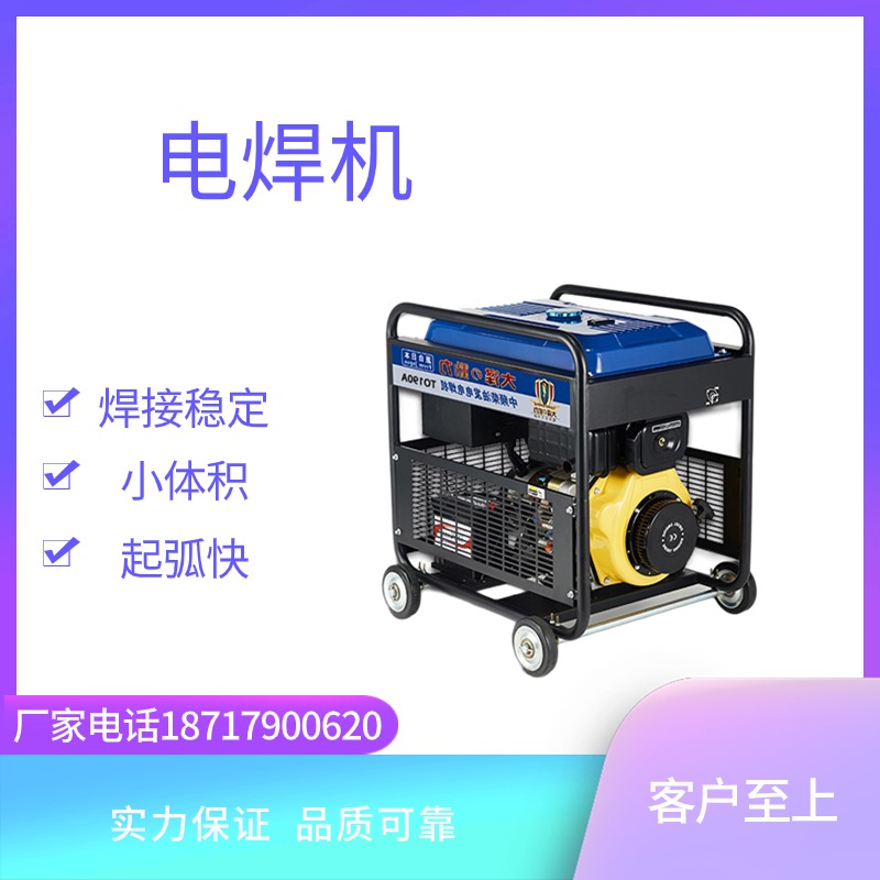 大泽动力190A柴油发电电焊机 焊发一体 户外电焊 管道焊 TO190A-Z