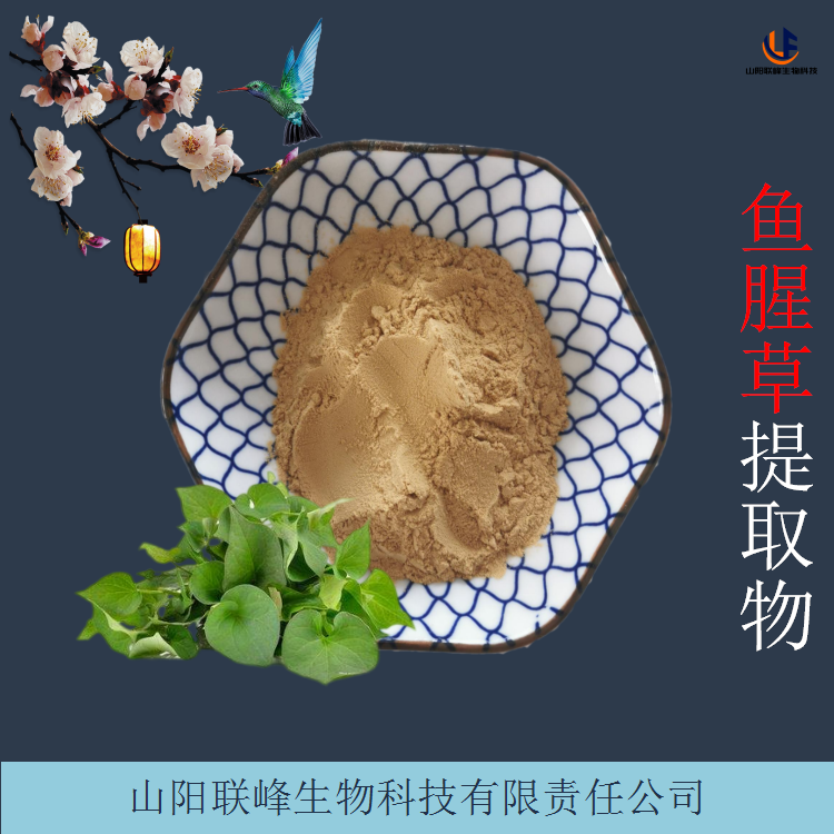 鱼腥草提取物 水溶性折耳根浓缩浸膏粉 100目棕黄色粉末