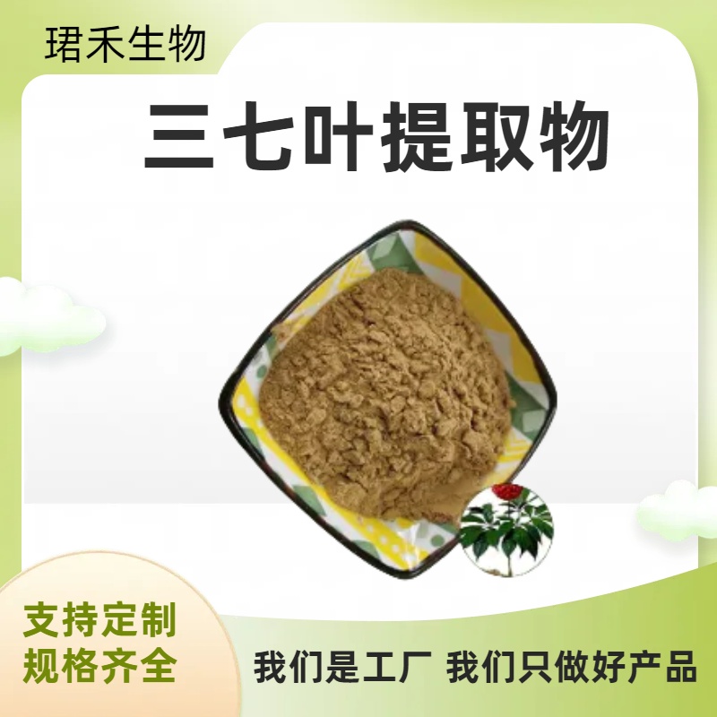 三七叶提取物 速溶粉 三七叶粉 喷雾干燥 浸膏粉 可定制规格