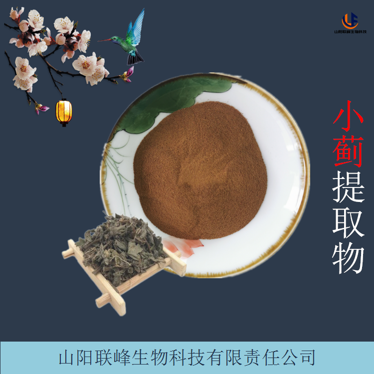 小蓟提取物 水溶性喷雾干燥刺儿菜粉 易水溶 支持定制