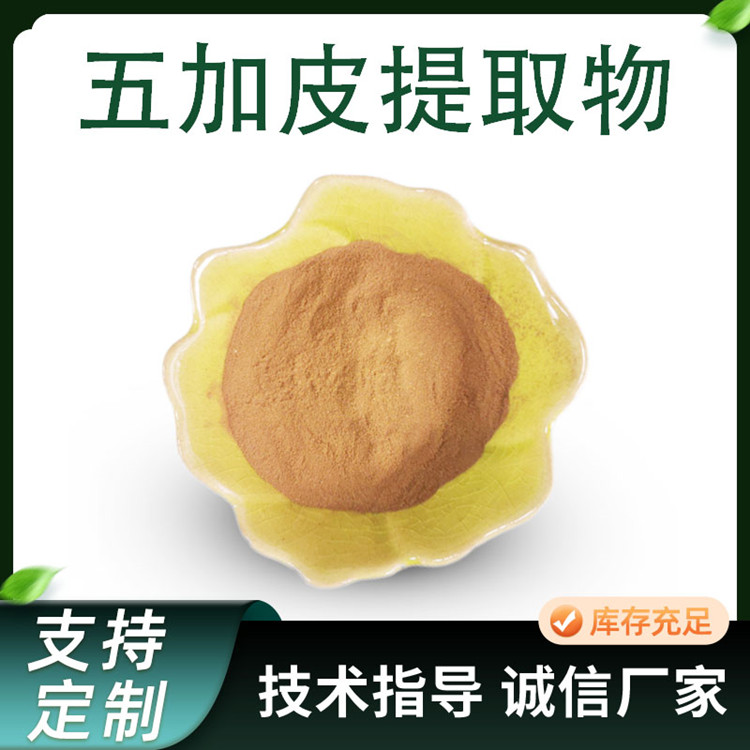五加皮提取物 10:1比例萃取浓缩粉 水溶性水提原料 80目