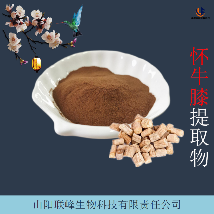 怀牛膝提取物 浓缩浸膏 水溶性粉末 喷雾干燥技术